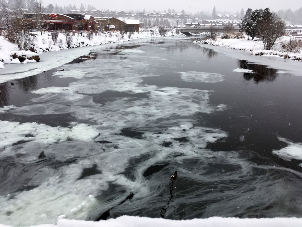 Las bajas temperaturas provocaron que las aguas del río Deschutes, en Bend, Oregon, bajaran con grandes bloques de hielo.