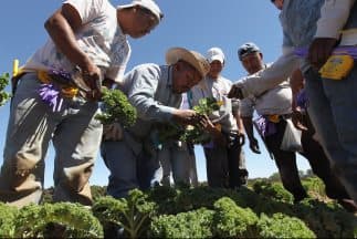 Las desigualdades entre los latinos en EEUU se mantuvieron en los últimos 20 años