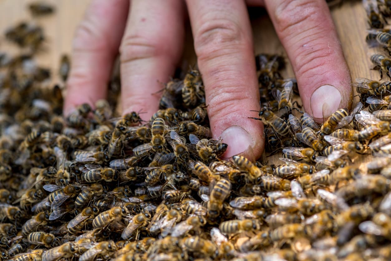 La mujer y su hijo de 8 años están recibiendo tratamiento médico. Luego de recuperarse serán procesados por ICE.