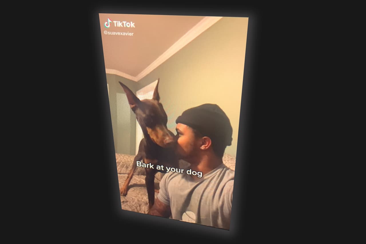 <b>Tiktok</b>
<br>
<br>Unos 167 millones de videos son vistos por los usuarios de esta red social cada minuto.
<br>
<br>Según el estudio, los nuevos usuarios de internet provendrán de los países que se han atrasado en incorporar a sus habitantes a la red.
<br>