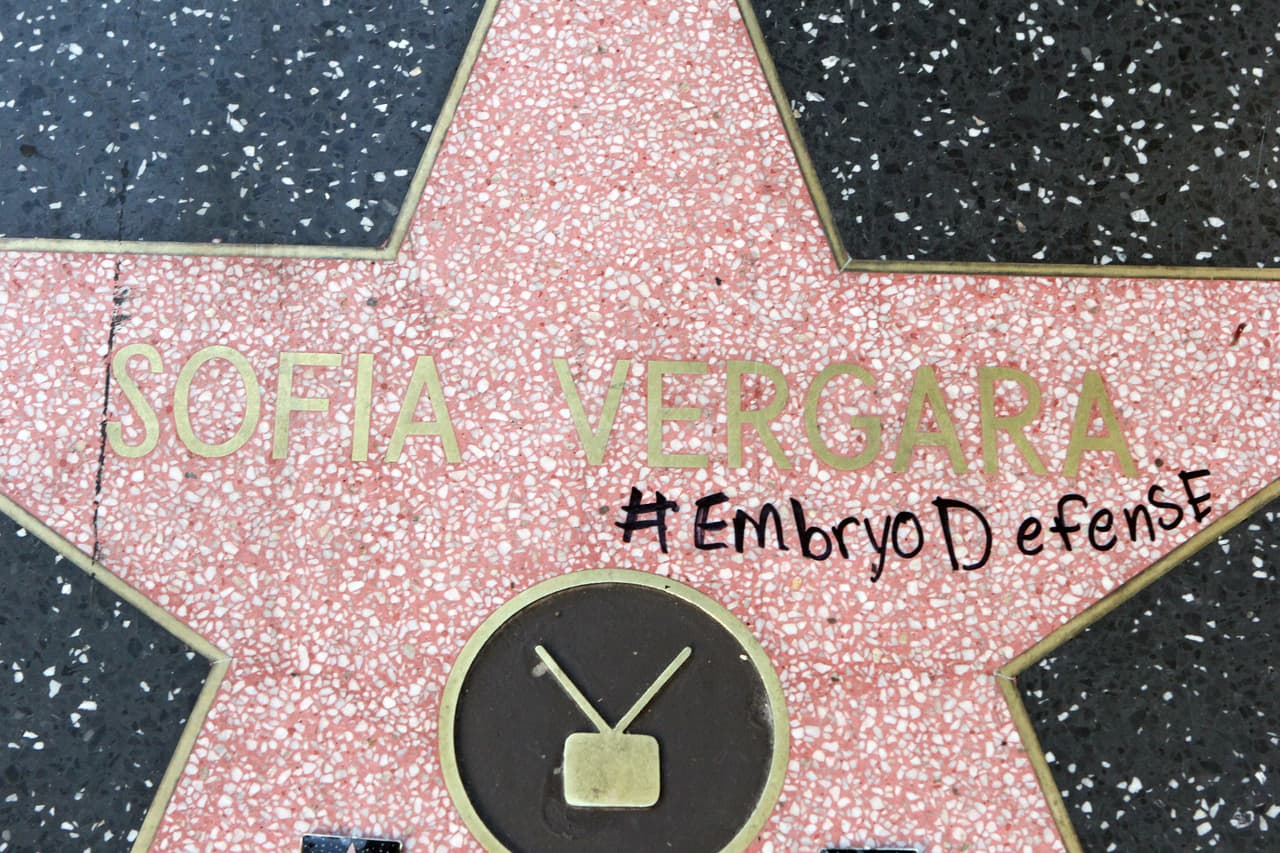 La frase “#Embryo Defense" fue escrita con plumón sobre la puntiaguda figura.