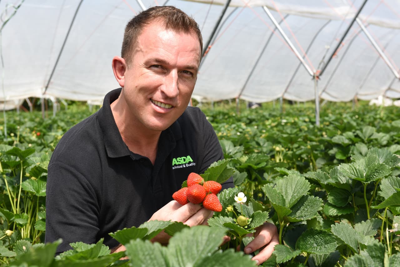 Además viaja por todo el mundo visitando granjas de fresas, va de Bélgica a Egipto solo para escoger las mejores.