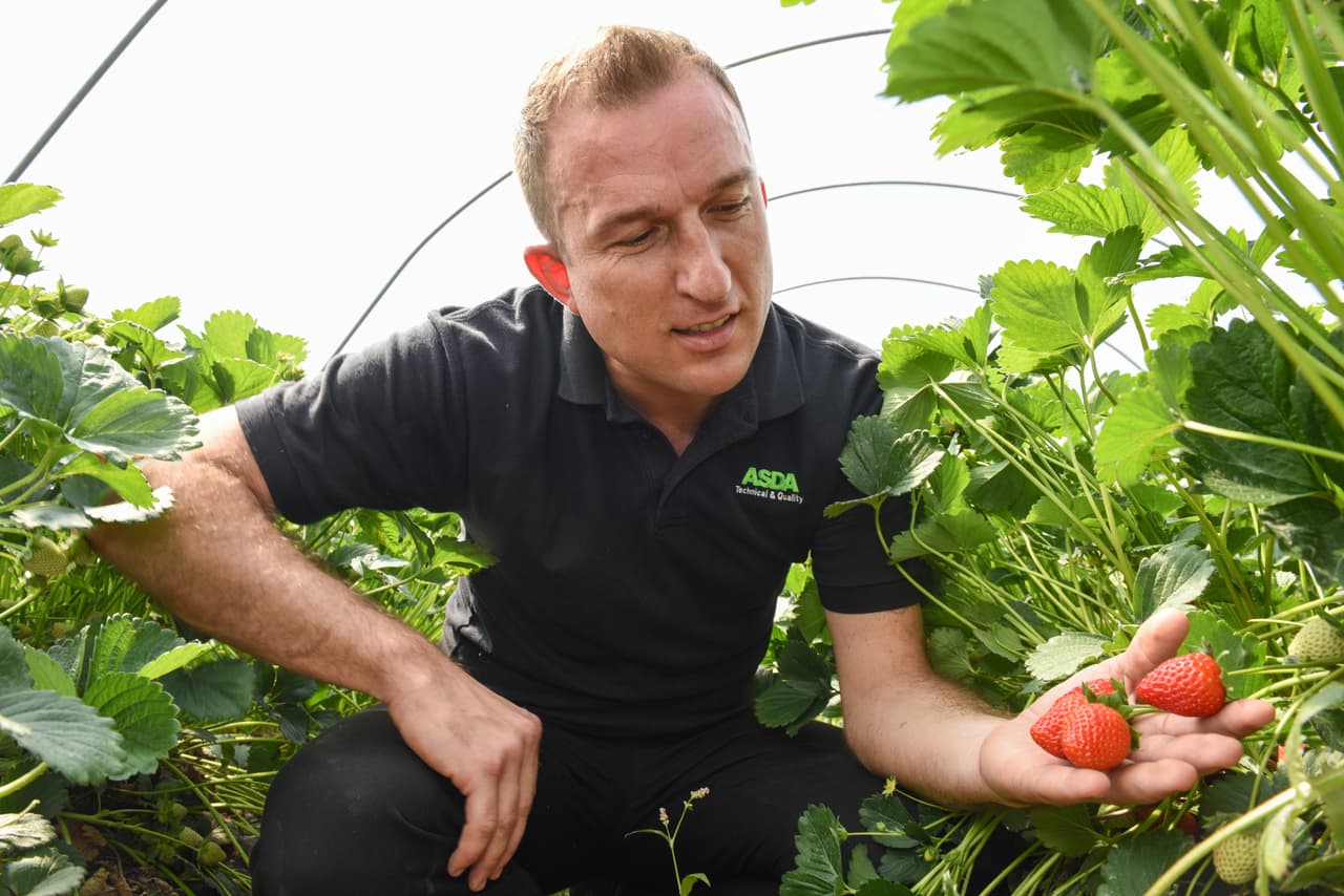 Sin embargo, la clave de la fresa perfecta se encuentra en su tamaño, como lo dijo el experto.