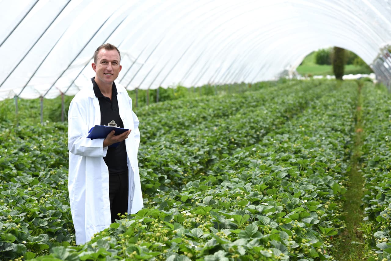 Desde hace años es el convirtió en Director Técnico de Frutas para Asda, que es una cadena de hipermercados y es la segunda más importante del Reino Unido, por debajo de Tesco.