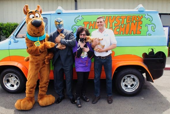 Mira más fotos del evento. Conoce también a estos perros superdotados