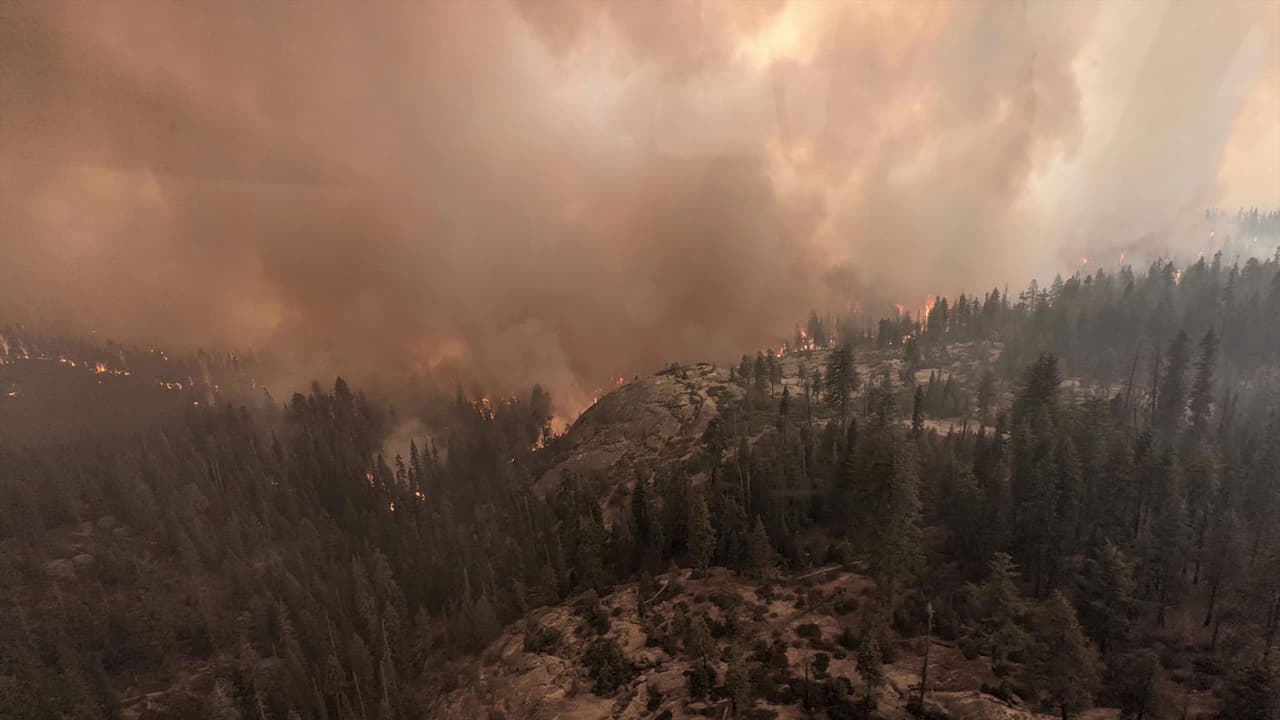 Un centro de evacuación de la Cruz Roja se encuentra en Woodlake Community Center en 145 Magnolia St, Woodlake, CA. Información sobre las áreas que se hallan bajo orden de evacuar y aquellos que deben estar preparados,
<b><a href="https://tularecounty.ca.gov/emergencies/?fbclid=IwAR2n5a_79UJTzvUQFNHXVt8JQ9j-2Yv8hrieu1D7BjfbGE9oYVWliLrqQoM" target="_blank">revisa este enlace. </a></b>