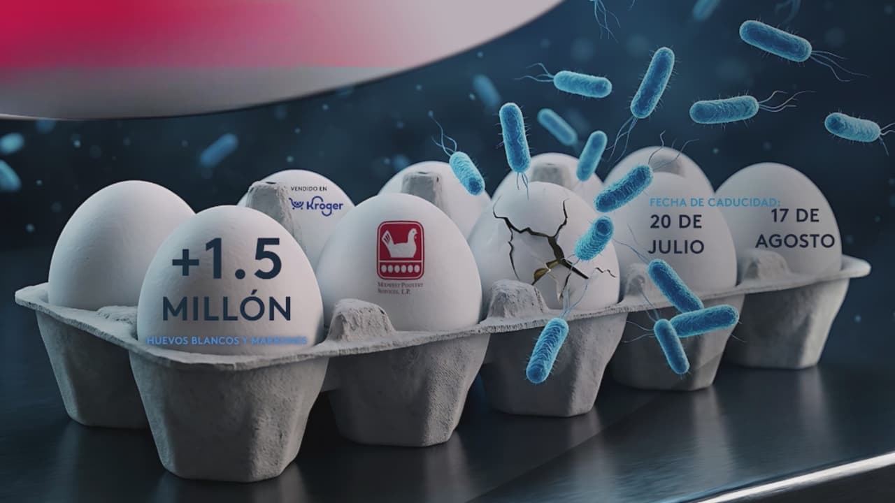 Retiran cientos de huevos que se vendieron en Texas por riesgo de contaminación con salmonela