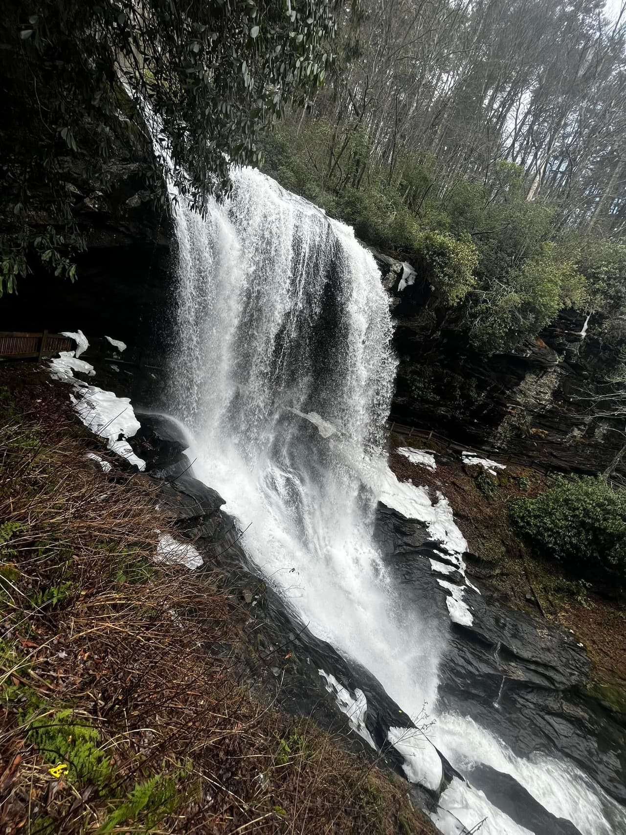 Están aproximadamente a 80 millas de Asheville, por lo que es un excelente viaje de un día con mucho que ver en el camino.