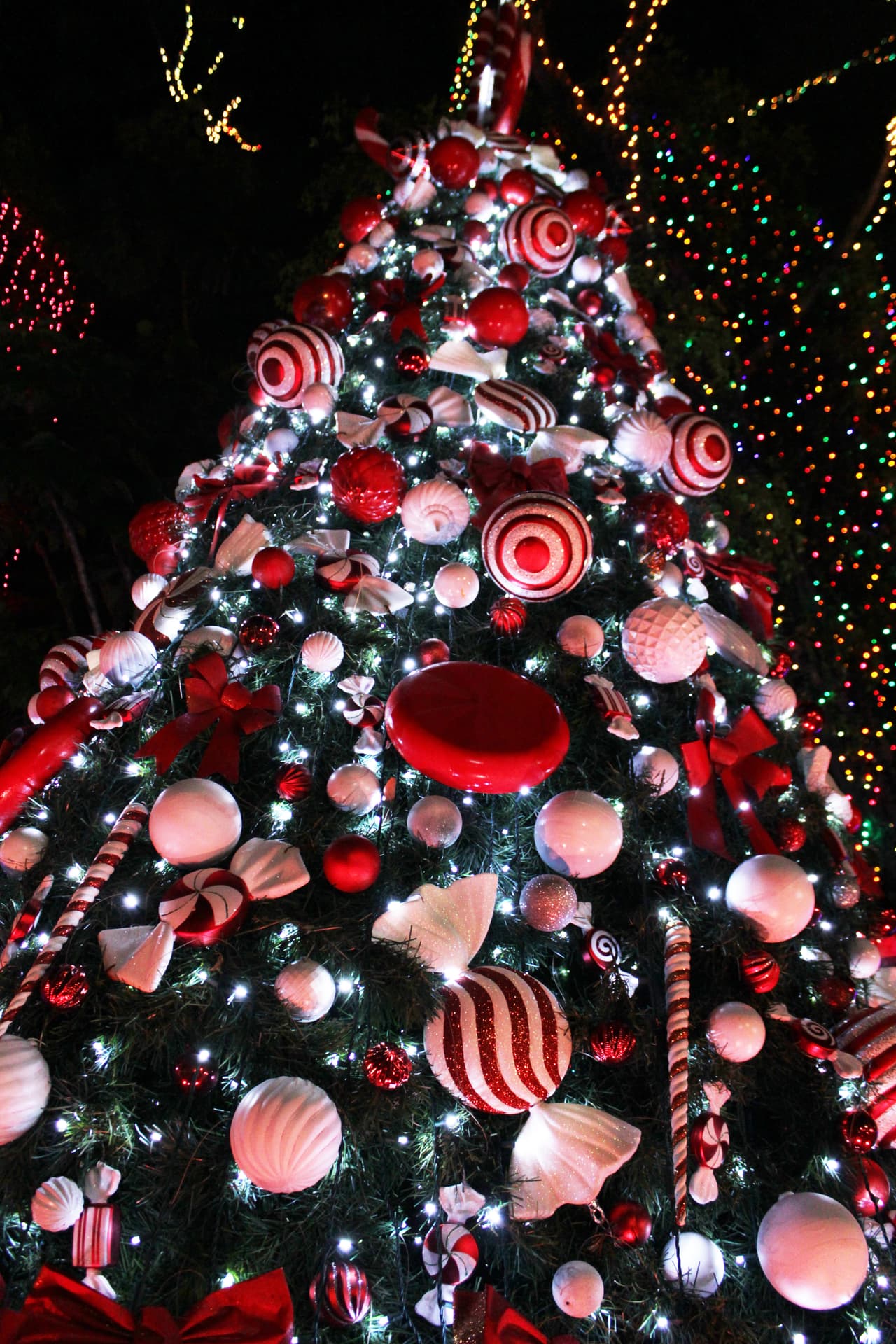 Las familias seleccionadas para participar de la Cena del 23 disfrutaron de una rica comida, regalos y compartieron con los talentos de Noticias 23.