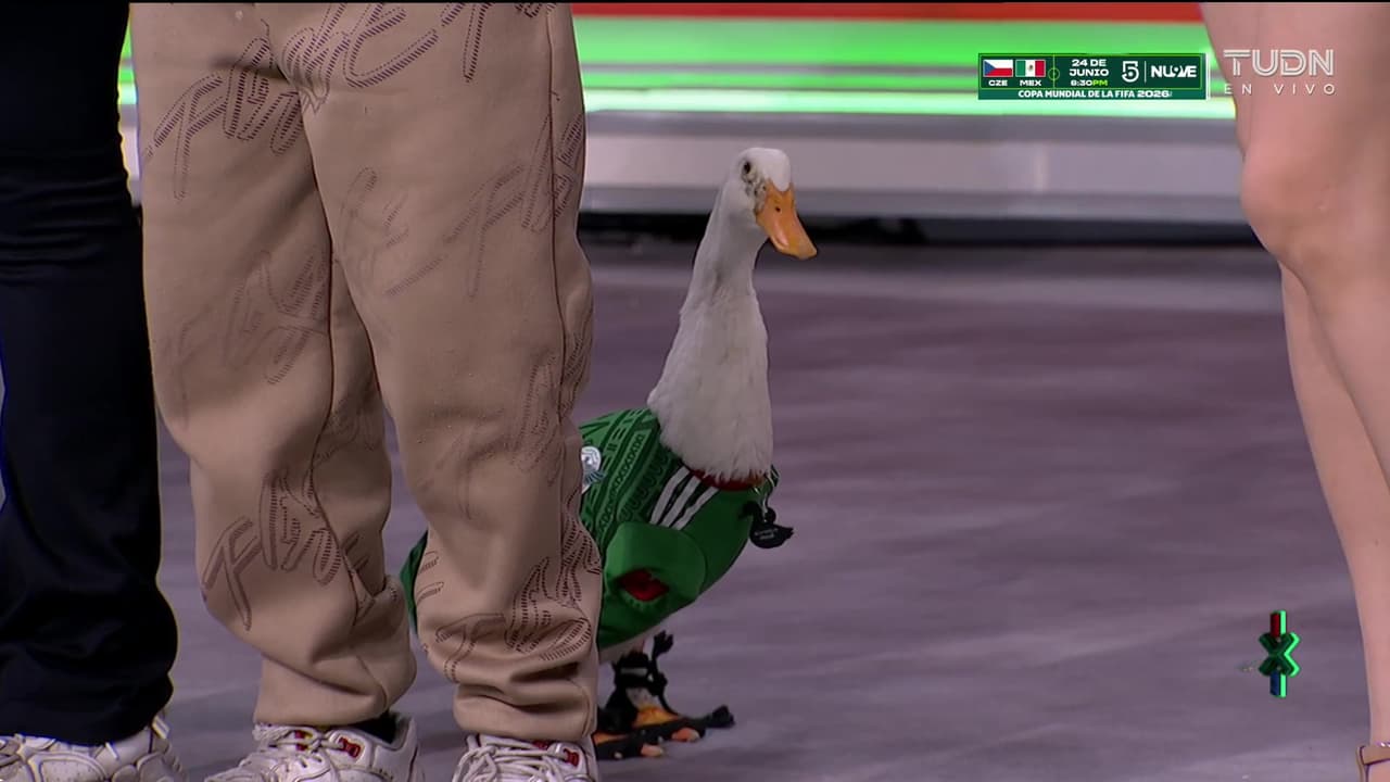Conoce a Merlín, el pato mexicano más famoso del Mundial 2026