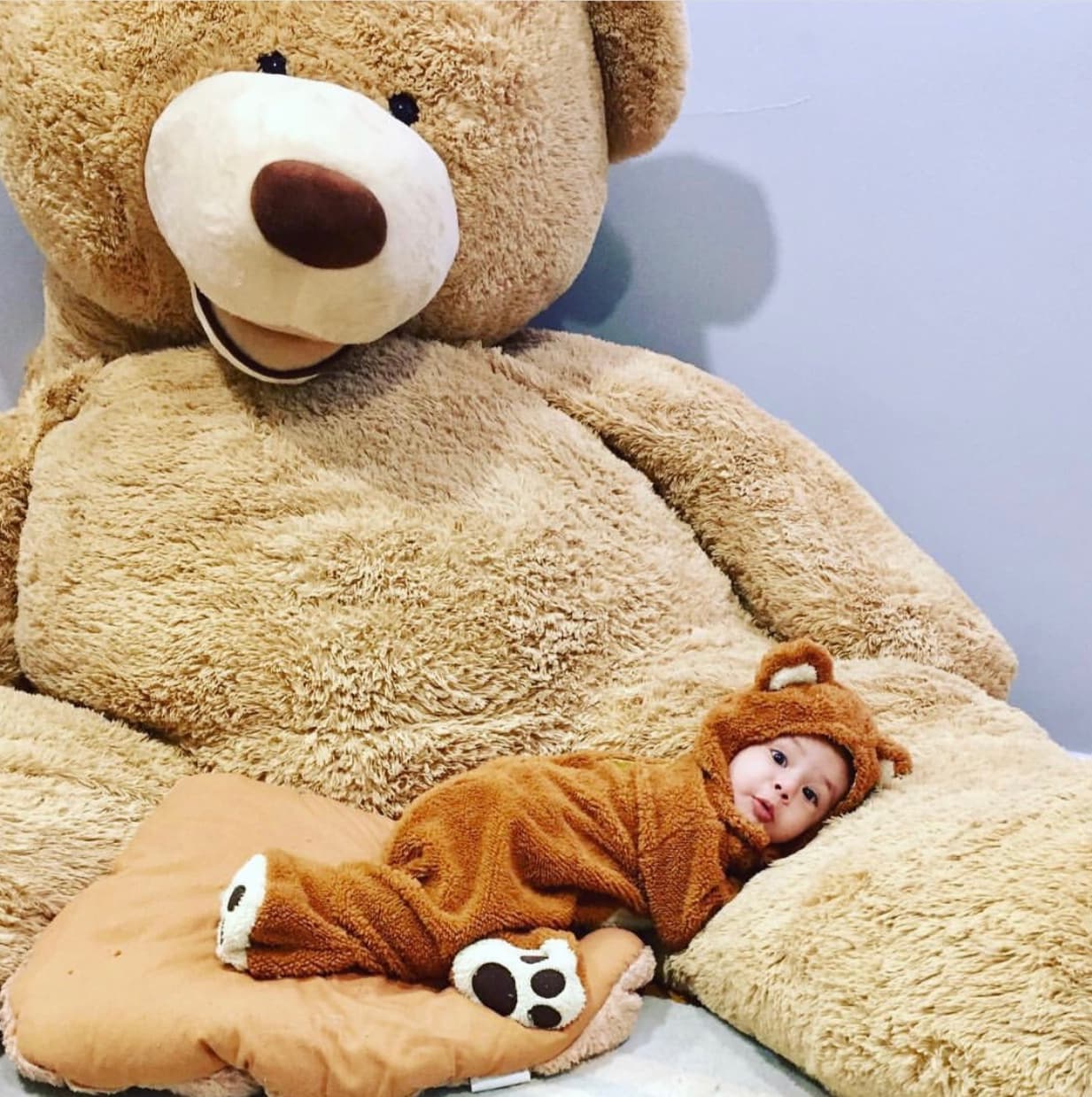 Quisimos hacer un recorrido por las mejores fotos del príncipe de Silvia del Valle.