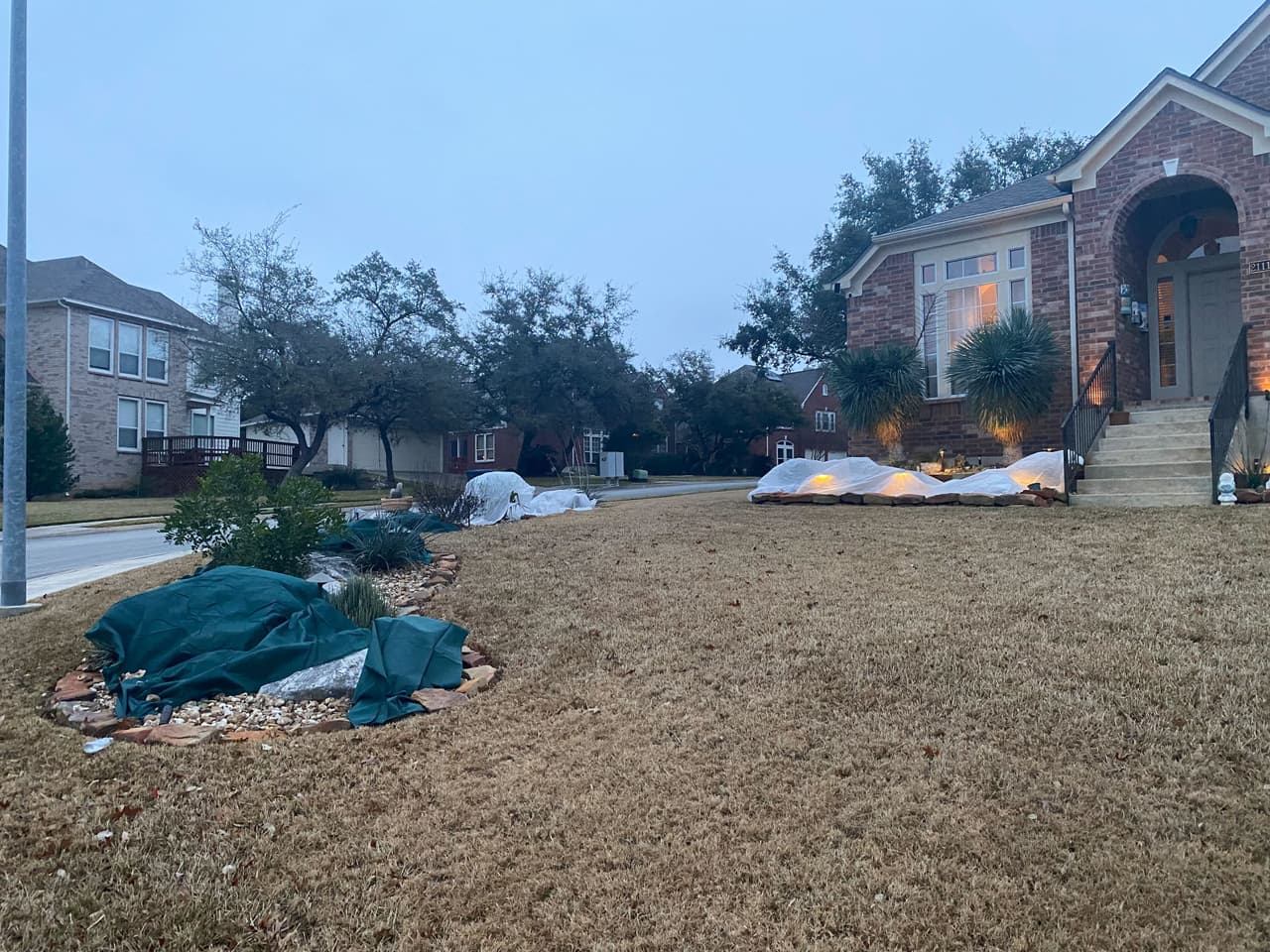 En San Antonio, Texas, no ha caído nieve, pero sí agua congelada que ha obligado a los habitantes a cubrir sus plantas para que el frío no las dañe.