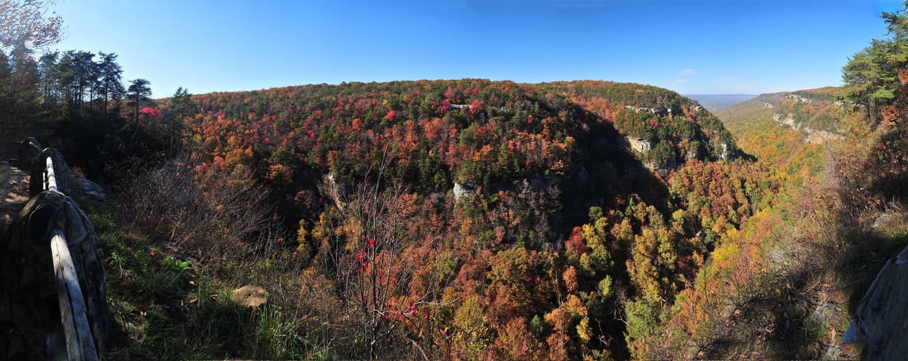 <b>Cloudland Canyon Waterfalls Trail & Rim Trails:</b> Disfruta de las vistas panorámicas de los colores otoñales de Cloudland Canyon. Camina por el borde este y oeste del cañón para ver un espectro de colores de hojas en el cañón y en las montañas circundantes, antes de sumergirse en el cañón de paredes empinadas para ver sus cascadas enmarcadas en los colores del otoño. Ubicado en la esquina noroeste de Georgia, el color de Cloudland generalmente alcanza su punto máximo al principio de la temporada.