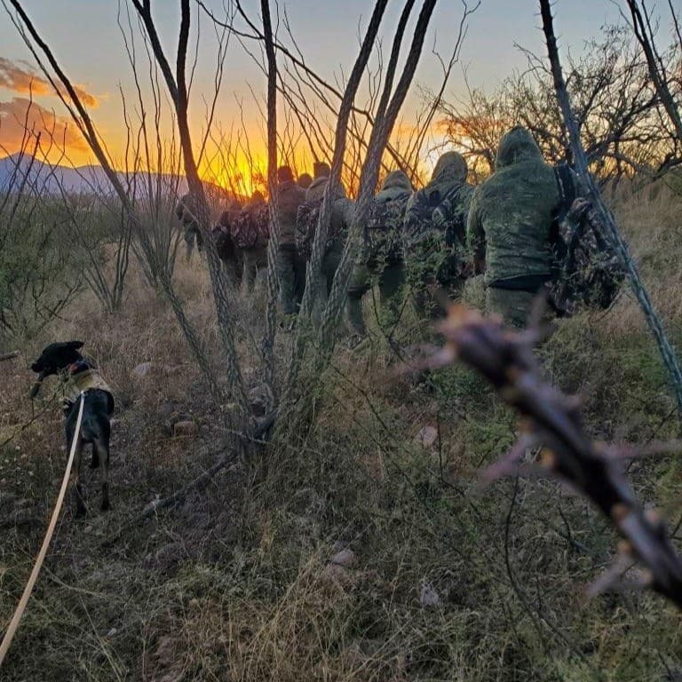 Los caninos haciendo su trabajo para el que fueron entrenados. Ubican a migrantes que se esconden por caminos de difícil acceso para evitar ser encontrados.