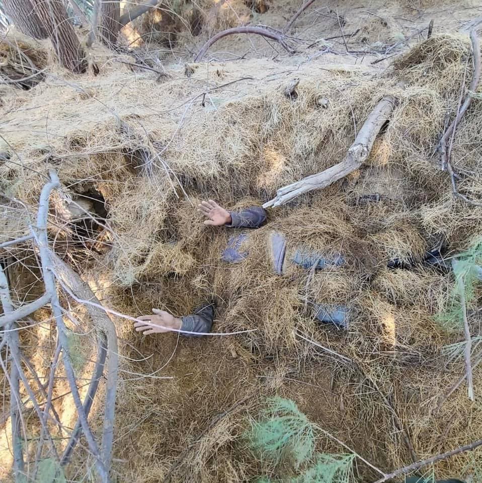 Una foto publicada por la Patrulla Fronteriza muestra el intento fallido de algunos inmigrantes indocumentados para evitar ser detenidos. El jefe del sector de Yuma, Chris Clem, dijo que las cámaras de seguridad mostraron a tres hombres tratando de esconderse entre unos de árboles de cedro caidos después de cruzar ilegalmente la frontera cerca de Andrade.