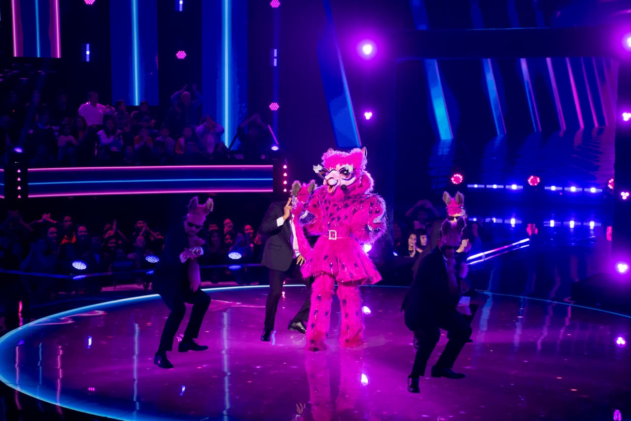 Cynthia Urias, Paulina Goto, Kenia Os y Aislinn Derbez fueron las apuestas de los investigadores.