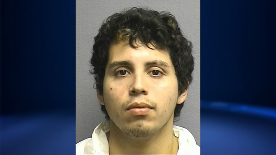 Arrestan a un joven en Houston por decapitar a un gato