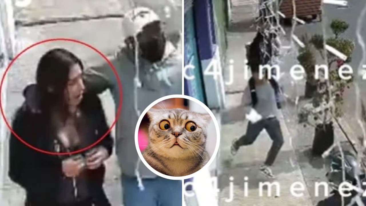 Joven sale corriendo y abandona a su novia durante asalto y el ladrón lo regaña: "Ven, ¿cómo la dejas?"