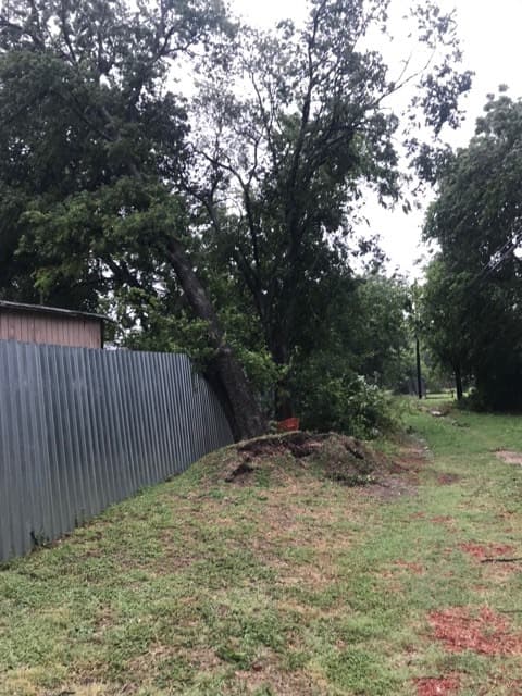 Un árbol caído sobre una cerca.