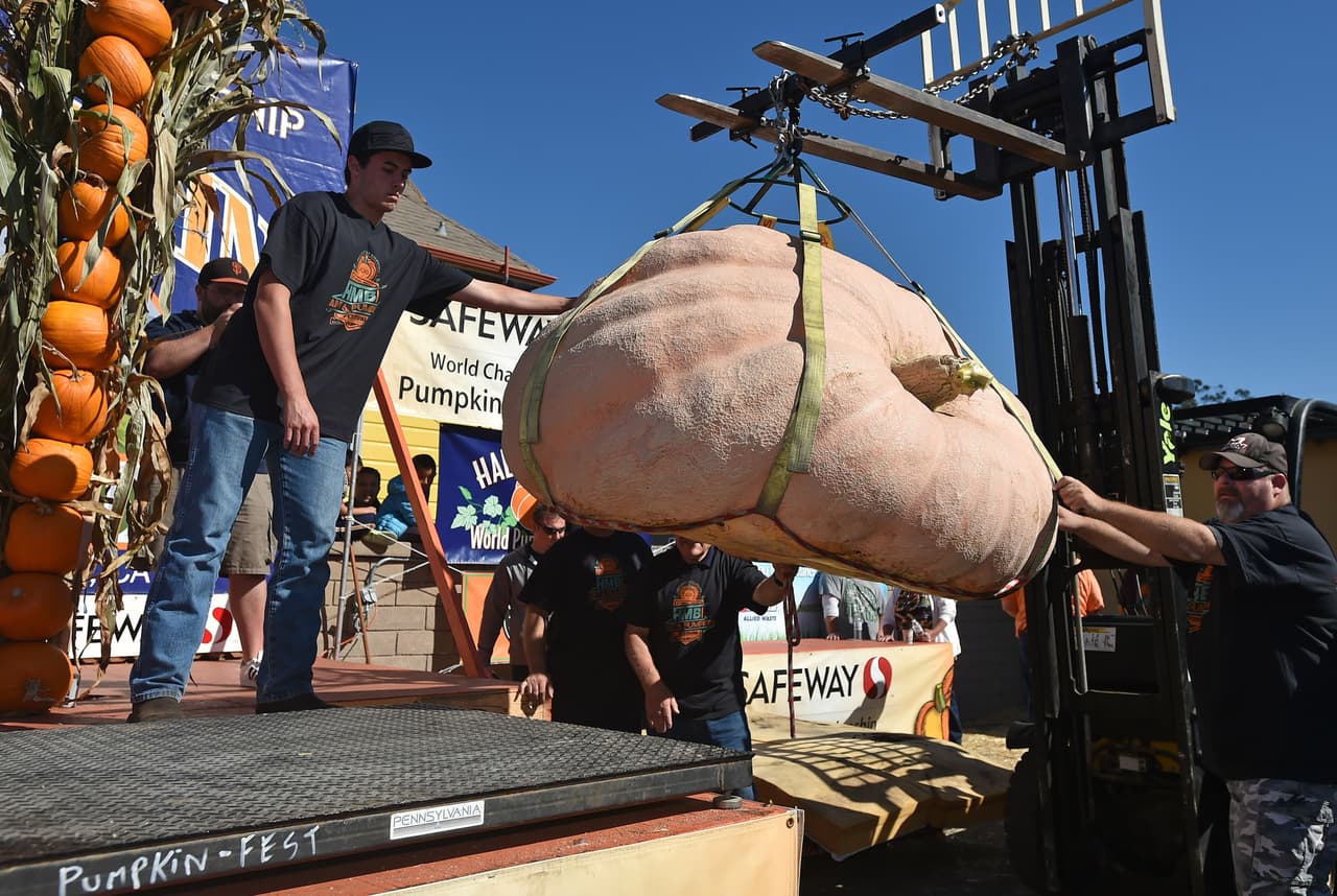 ¿Te imaginas el peso de esta calabaza?