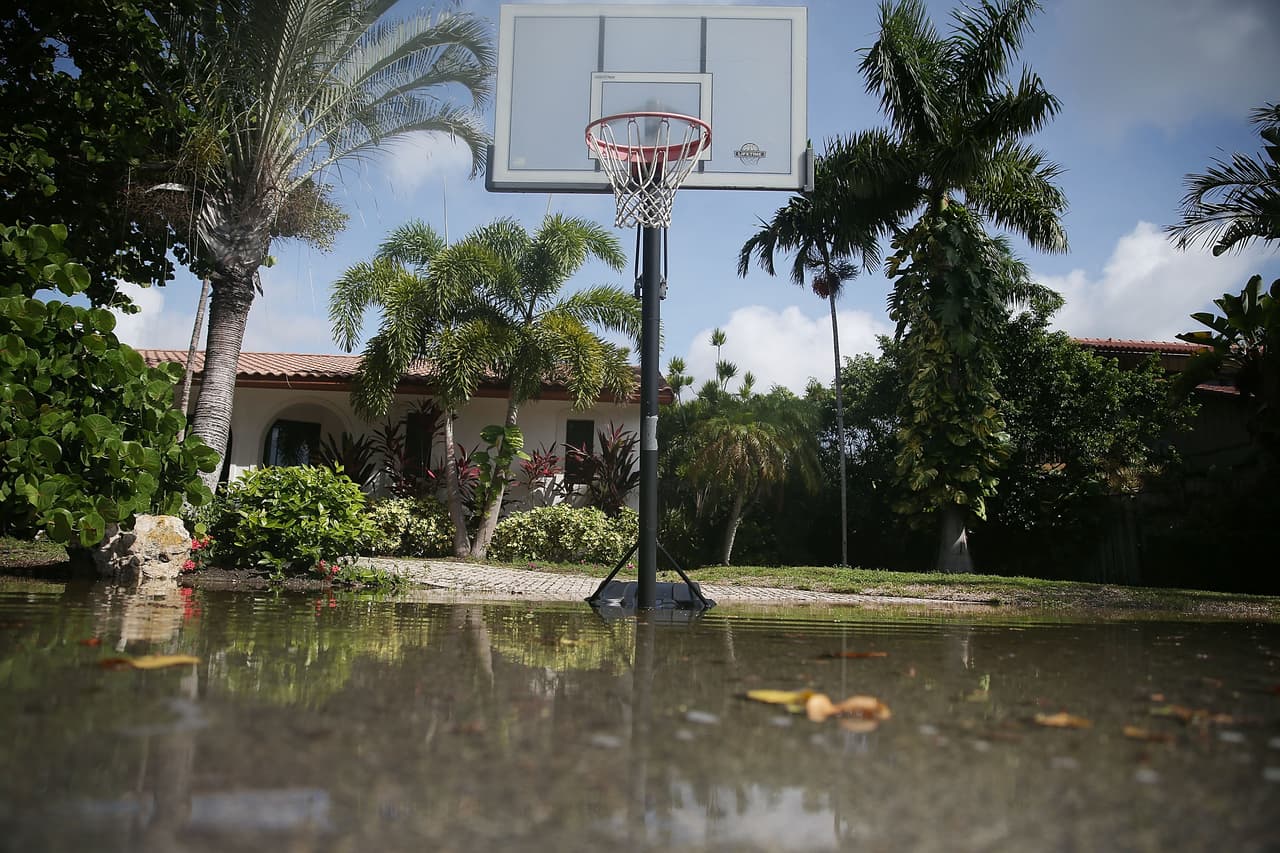 Piden reportar al 311 si hay Marea Rey en su vecindario.
<br>