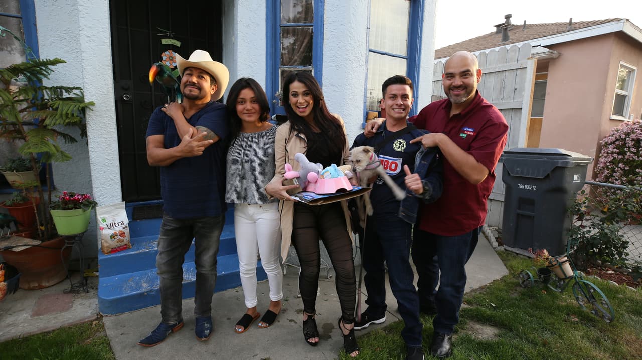 Esta perrita fue abandonada y encontrada por Animal Services Center de Los Ángeles, y ahora tiene un nuevo hogar.