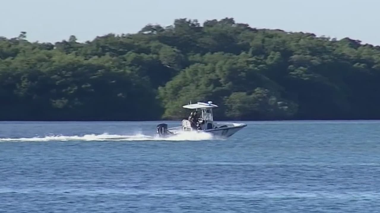 Buscan a un hombre que cayó al mar tras el choque de dos botes en Key Biscayne