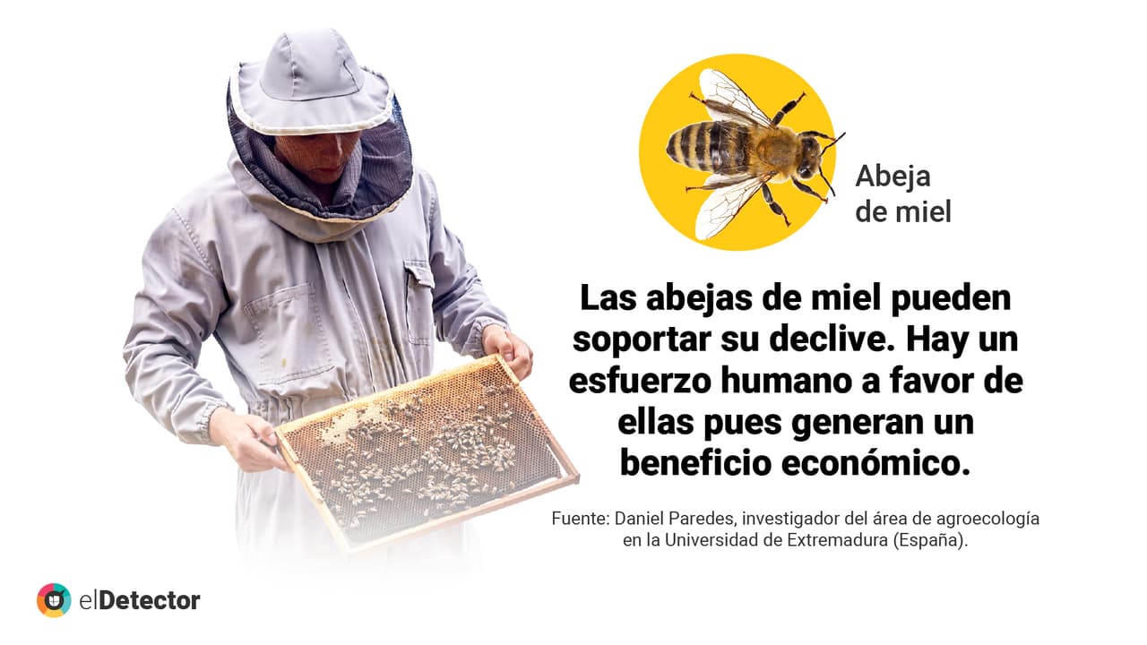<a href="https://www.univision.com/noticias/diamundialabejas-no-evidencias-humanidad-acaba-4-anos-si-desaparecen-abejas-pero-mundo-si-cambiaria" target="_blank">Lee aquí</a> la verificación completa de
<b> elDetector.</b>