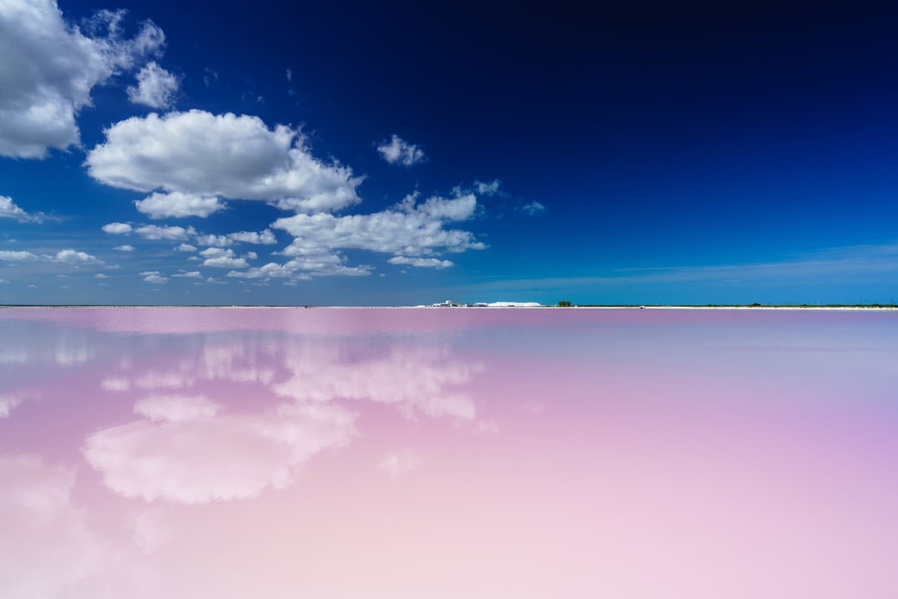 <b>Yucatán, México.-</b> Colores del mundo. En la costa norte de la Península de Yucatán, están los mágicos rosados de Las Coloradas. El área es una mina privada de sal adyacente a la biósfera del río Lagartos. / Crédito: Daniel Burton, Reino Unido. Primer finalista Categoría Portafolio de Viaje. / 
<a href="www.tpoty.com" target="_blank">Tpoty</a>