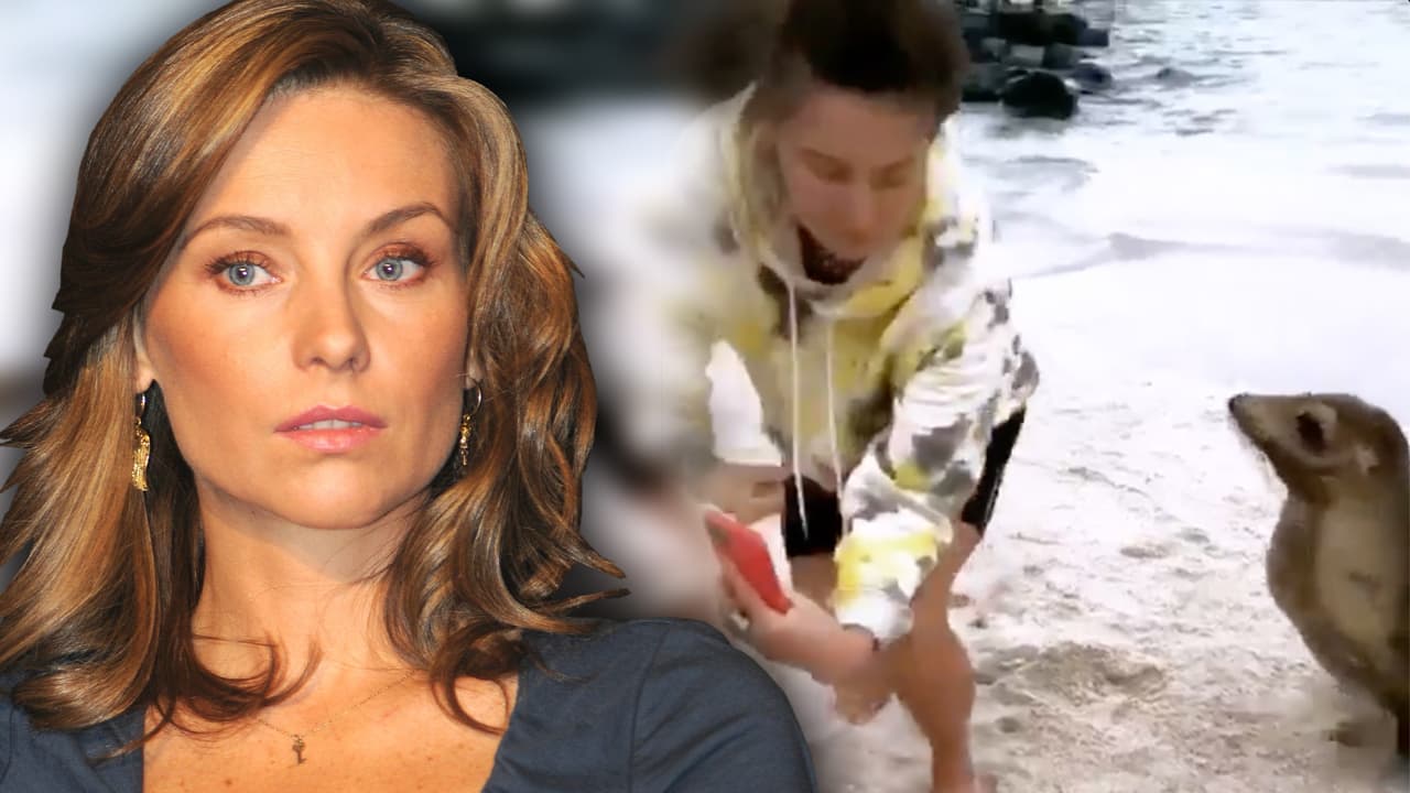 Dominika Paleta responde a una seguidora que la señaló por “molestar” a un lobo de mar