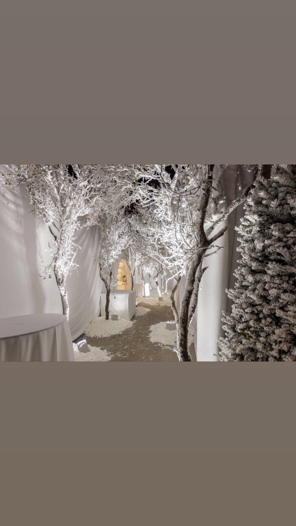 La temática para la fiesta que se llevó en la víspera de la Navidad "Fue una mágica Navidad blanca en 'Whoville' (pueblo ficticio creado por el autor Theodor Seuss Geisel)", explicó Mindy Weiss, quien fue contratada por 
<b><a href="https://www.univision.com/entretenimiento/la-postal-navidena-del-clan-kardashian-jenner-esta-incompleta-otra-vez-fotos">Kris Jenner</a></b> para planear la celebración.
<br>