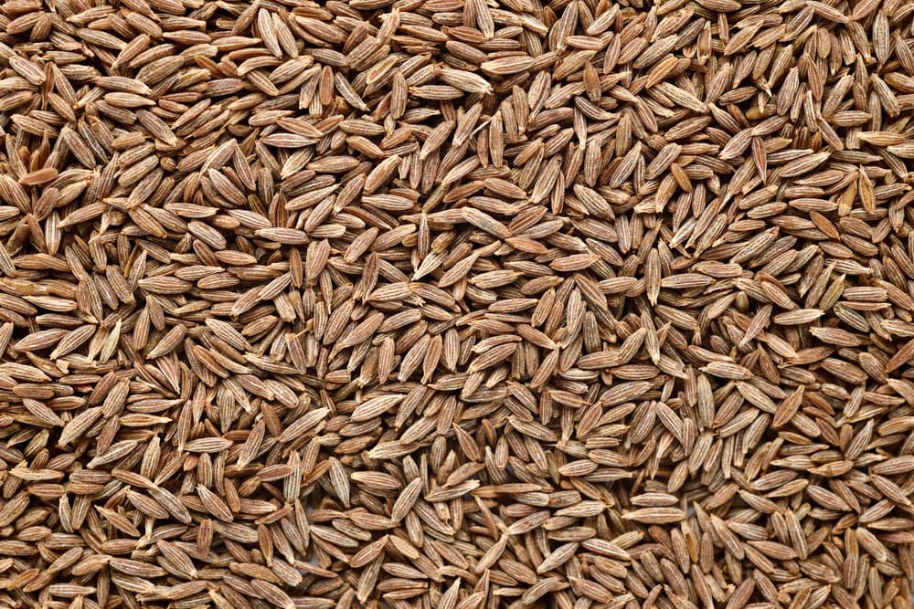 No sólo es ideal para abrir el apetito, sino también para controlar la diarrea y los parásitos estomacales, espasmos del estómago o intestino, malestares de la menstruación como cólicos, así como durante la lactancia materna.