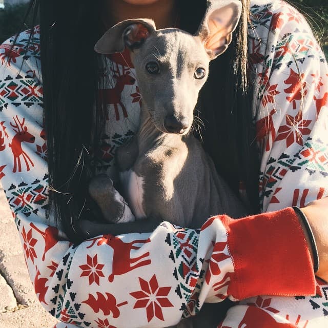 Mira más fotos de Kylie Jenner