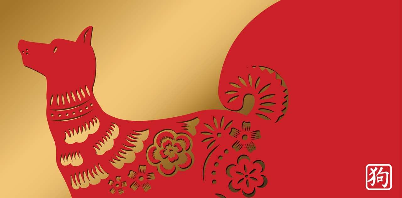 Las personas que pertenecen al horóscopo chino del signo perro en particular son aquellas cuyo año de nacimiento hayan sido entre 1934, 1946, 1958, 1970, 1982, 1994, 2006, 2018, y 2030. Es decir, como puedes claramente notar, cada 12 años.