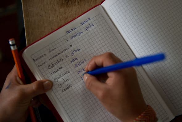 También el papel de construcción, loncheras, papel de relleno para cuaderno, pegamento, papel de póster, reglas, grapadoras y tijeras. 
<br>