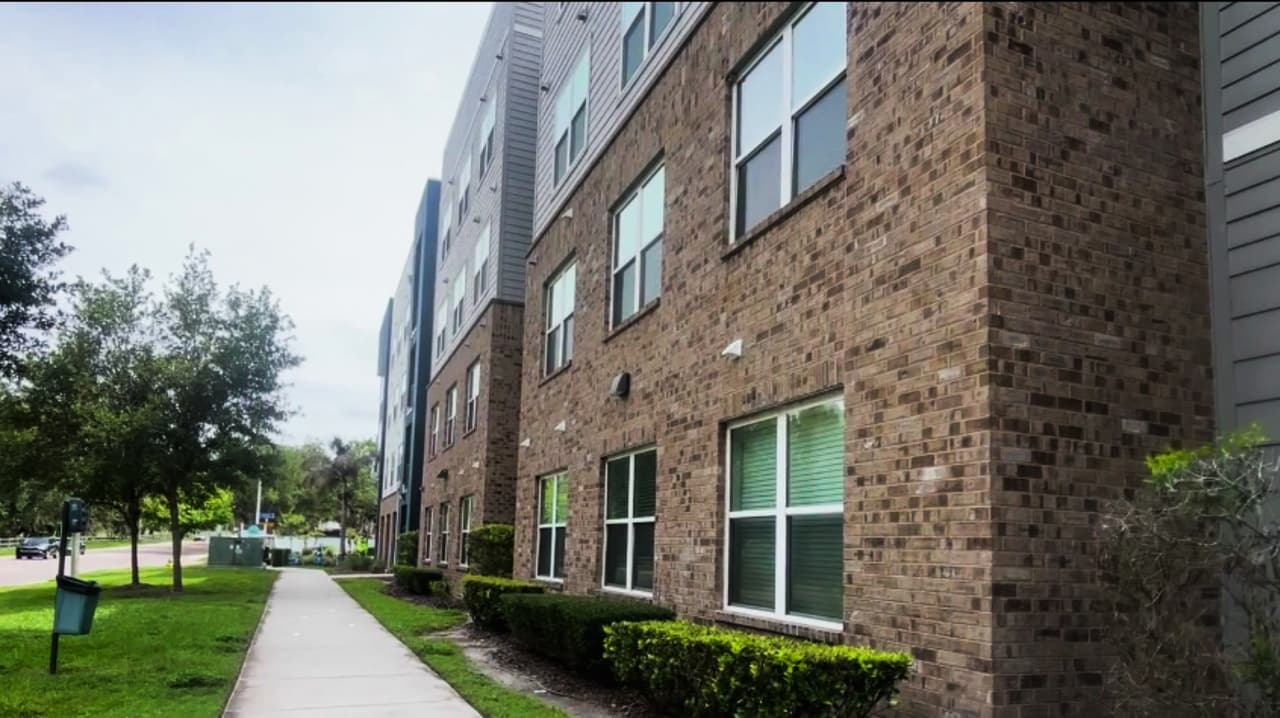 Investigan si estudiante de USF hallado muerto era sospechoso de apuñalamiento