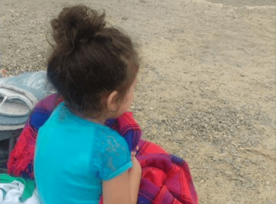 Esa información también destaca que Wolfthal continuó su curso de enseñanza a través de la “educación en el hogar de sus propios hijos”.