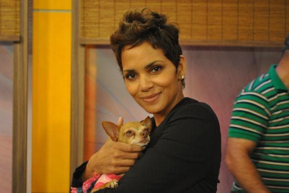 Halle Berry fue la madrina de Honey, una estrellota a la que le debe su apellido.