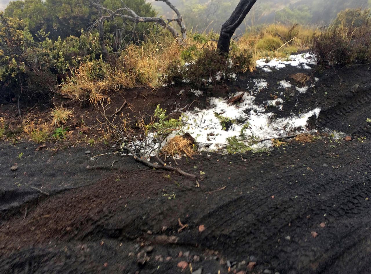 La nieve sobre las cenizas volcánicas negras en el parque estatal Polipoli, en la isla de Maui, en Hawaii. Llamado "Kona low", el fenómeno meteorológico ha traído marejadas y nieves inusuales a la isla de Maui y las playas del norte de California. En Hawaii la fuerza del viento afectó la electricidad, derribó algunos árboles, inundó caminos costeros y trajo una nieve inusual.