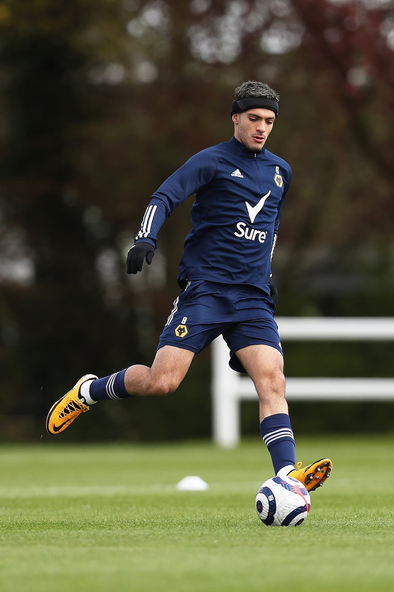 Ahora ha recibido la autorización para comenzar estas actividades y está físicamente tan en forma, fuerte y ágil como siempre.