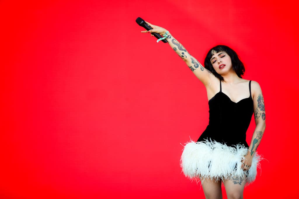 El nuevo álbum de la cantautora chilena se titulará ‘Seis’.