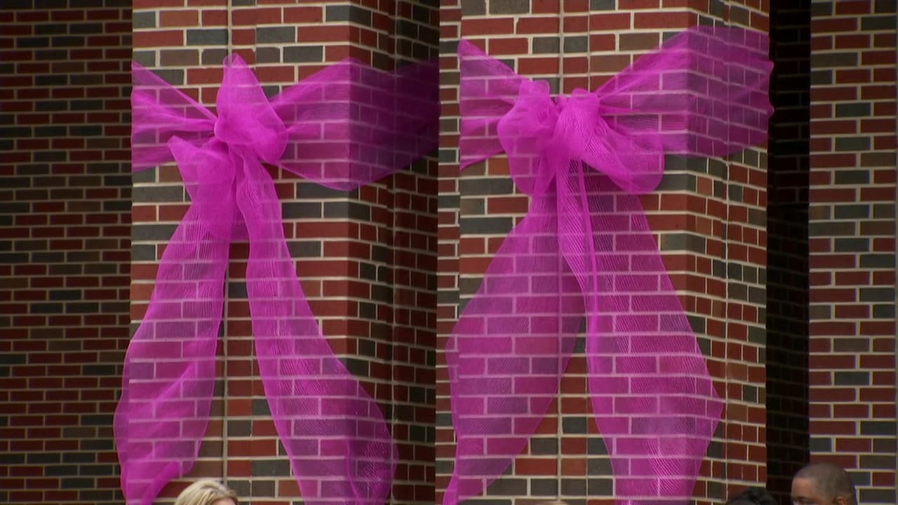 El rosado se convirtió en el color distintivo de los esfuerzos para encontrar a Kayla Gómez. Este era el color favorito de la niña.