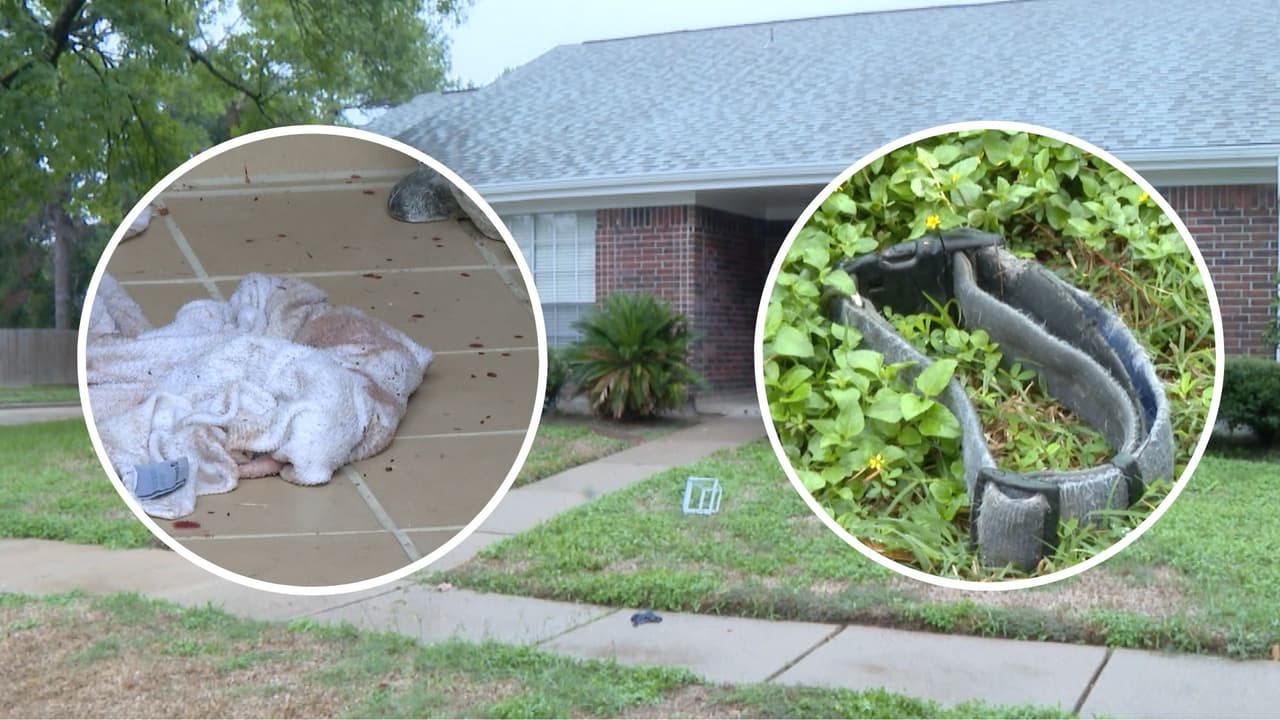 Un anciano, un buen samaritano y un oficial del Sheriff resultan heridos luego de ser atacados por dos pit bull