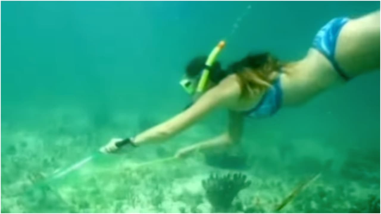 La mini temporada de langosta en Florida arranca a partir de este miércoles