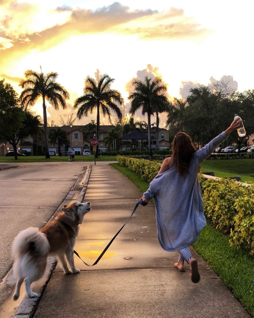 Karina Banda alcanza estos resultados aprovechando la iluminación que ofrece el sol, de acuerdo a su posición.