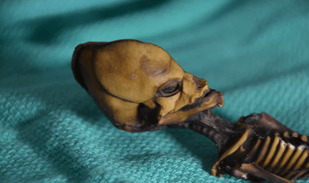 Fin al misterio del 'extraterreste' de Chile: un estudio revela su origen