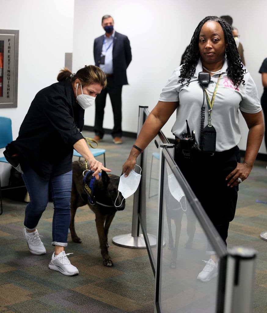 La intención de las pruebas piloto es comprobar 
<b>la efectividad del binomio canino para detectar la enfermedad</b> en quienes transitan por el aeropuerto.