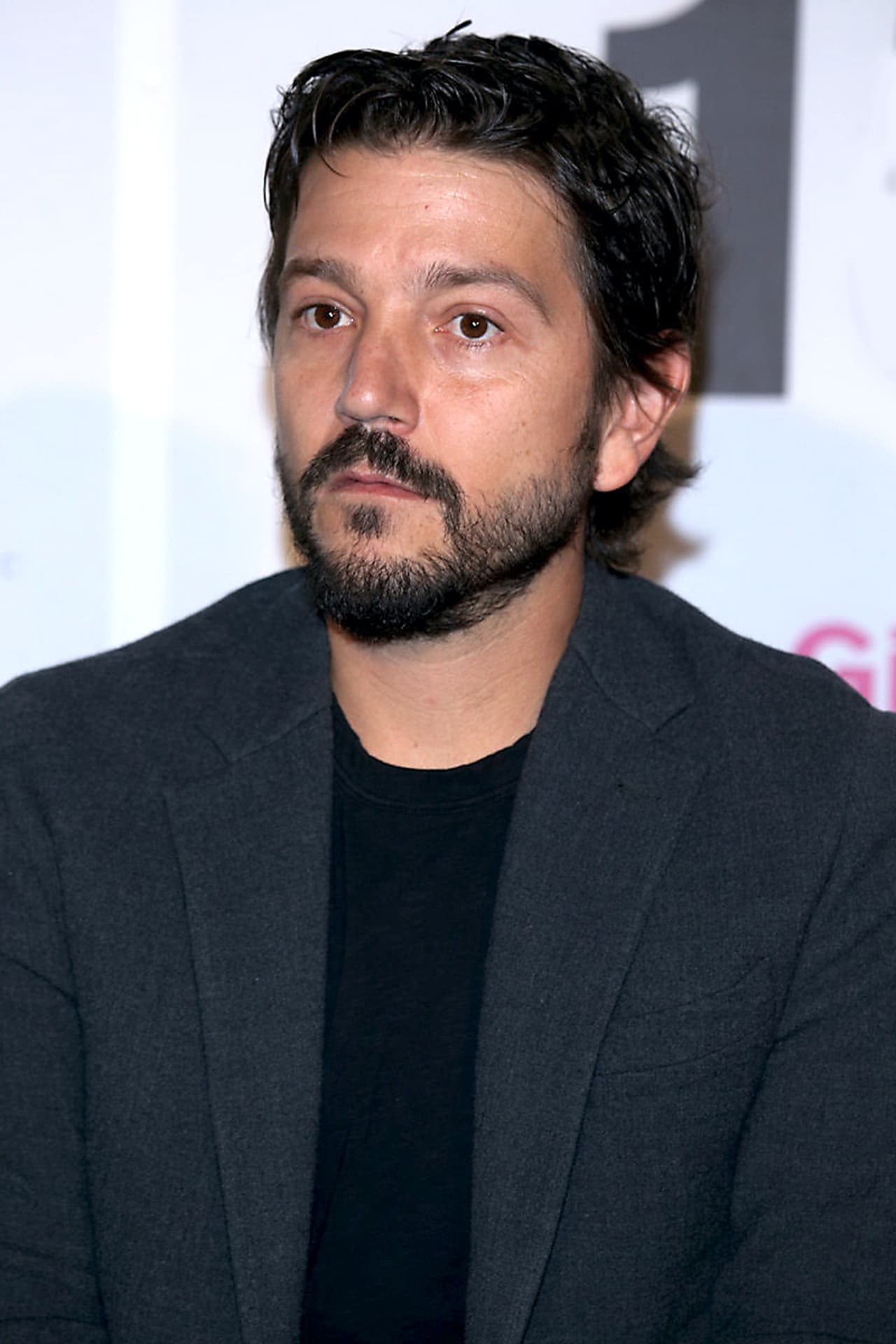 Desde que en 2001 actuó en 'Y tu mamá también', película de Alfonso Cuarón, el actor desarrolló su carrera actoral en la industria cinematográfica; sin embargo, en 2010 volvió a la tele. La última vez que apareció en una producción televisiva fue en la serie histórica 'Gritos de muerte y libertad'. Actualmente tiene 40 años.