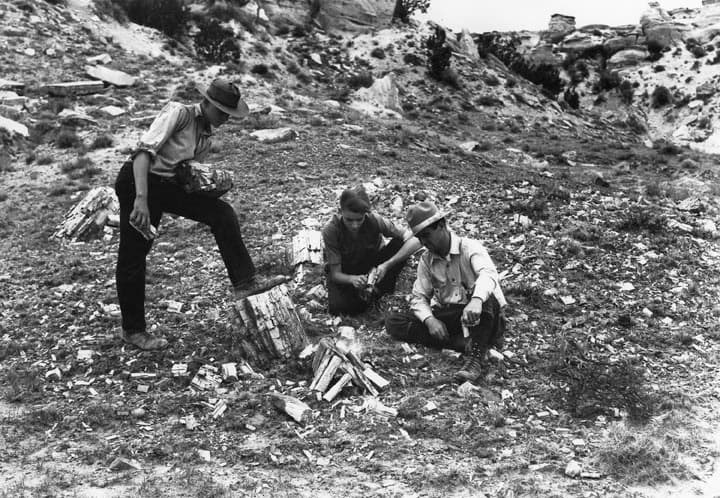 Un equipo de Tenderfeet en 1929 se preguntan si la madera prenderá fuego, mientras intentan armar una fogata en el bosque petrificado del parque nacional que lleva su nombre.