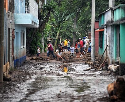 Deforestación descontrolada. La tala masiva de bosques en las montañas que rodean el Lago de Amatitlán son otra de las causas de la tragedia. Al desaparecer las cumbres boscosas no hay nada que detenga las lluvias. La esponja que construye el bosque en el subsuelo no existe y el agua cae libre por laderas y quebradas provocando enormes deslizamientos de tierra. ¿La cura? Volver a sembrar árboles.